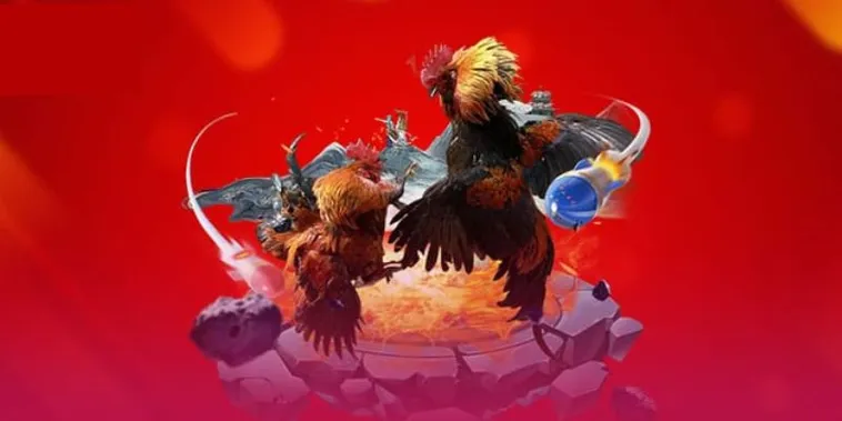 Đấu Trường Đá Gà M788 Bất Bại Trực Tiếp Từ Thomo Campuchia