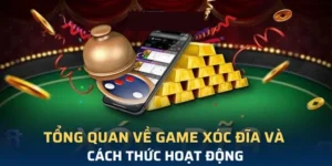 Bí Quyết Chinh Phục Trò Chơi Xóc Đĩa Tại M788 Từ Cao Thủ